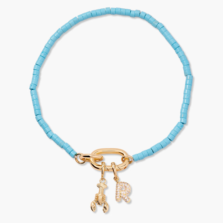 Build Your Own Reef Charm Anklet