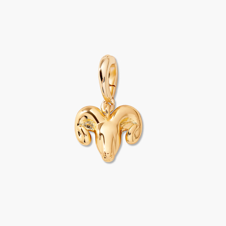 Effie Zodiac Charm