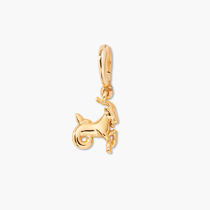 Effie Zodiac Charm