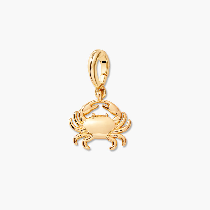 Effie Zodiac Charm