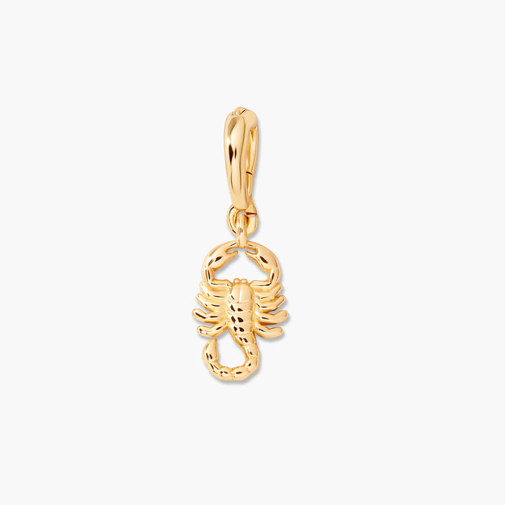 Effie Zodiac Charm