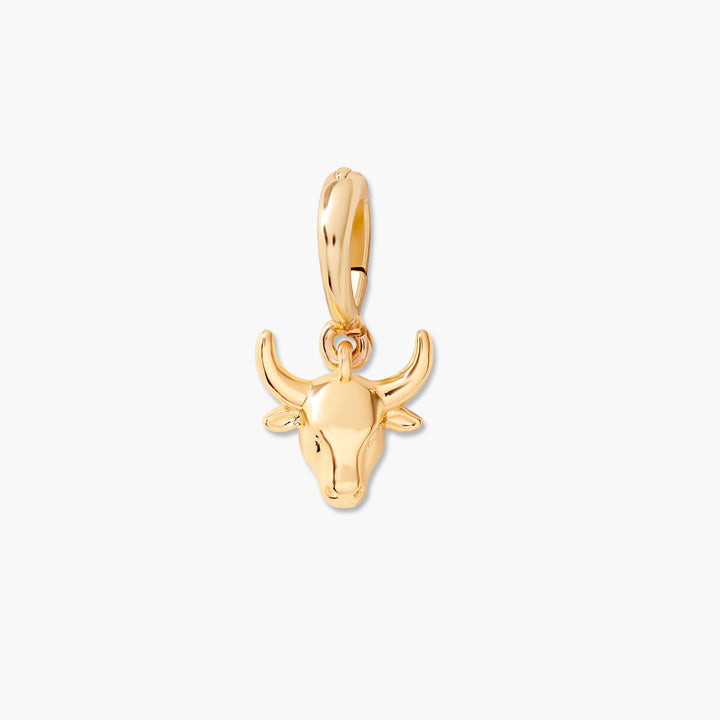 Effie Zodiac Charm